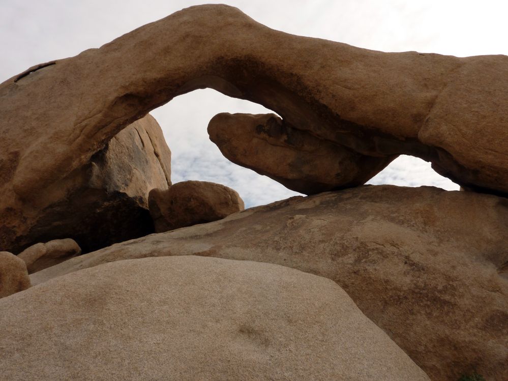 joshua tree national park (27).JPG